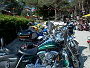 HOG Party, 16 May 2004 Parkorman
