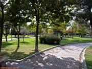 Göztepe Parkı, 28 Ekim 2005