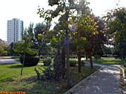 Göztepe Parkı, 28 Ekim 2005