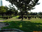 Göztepe Parkı, 28 Ekim 2005