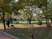 Göztepe Parkı, 28 Ekim 2005
