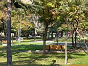 Göztepe Parkı, 28 Ekim 2005