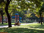 Göztepe Parkı, 28 Ekim 2005