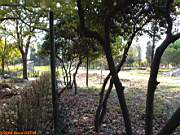Göztepe Parkı, 28 Ekim 2005