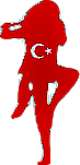 TULLTURK Logo by Can Cetin
